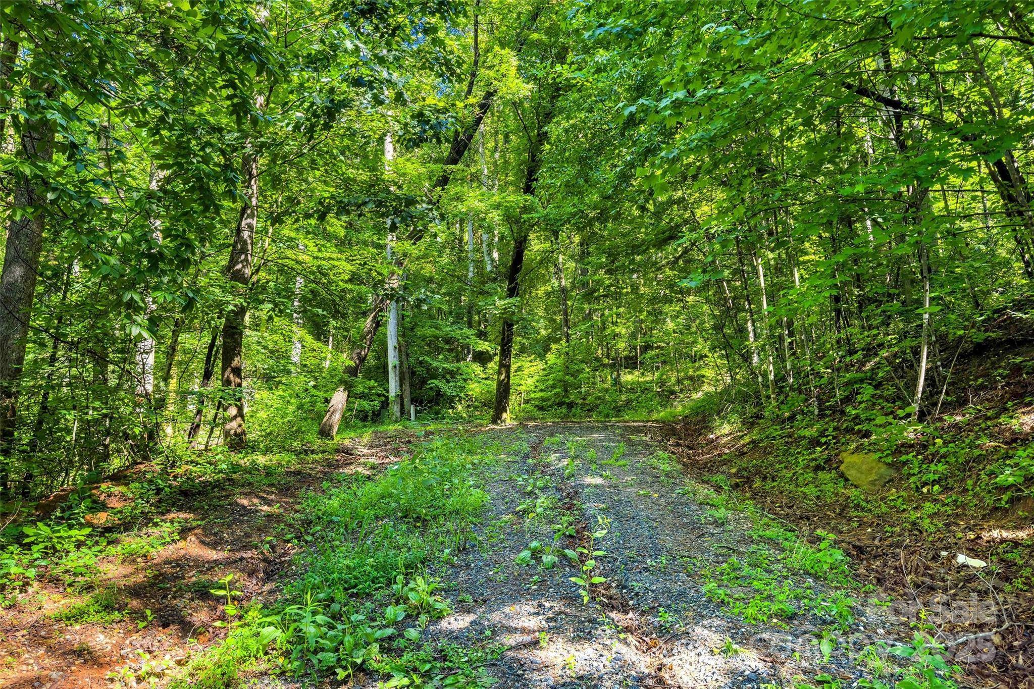 Marion, NC 28752,Lot # 77 Hunnicut Spur RD