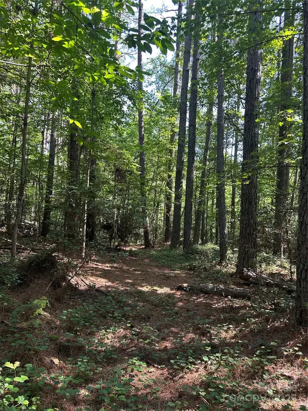 Granite Falls, NC 28630,6020 Plantation Pointe DR #91