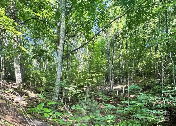Asheville, NC 28806,17 Tara DR