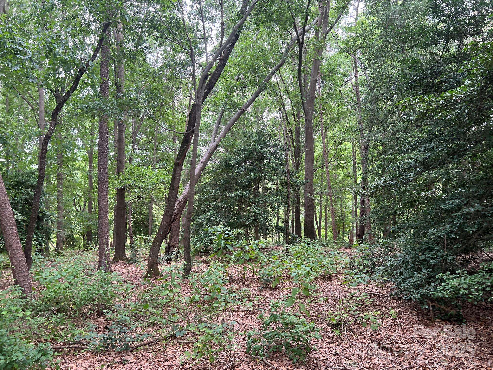 Shelby, NC 28150,128 Westlee ST #C