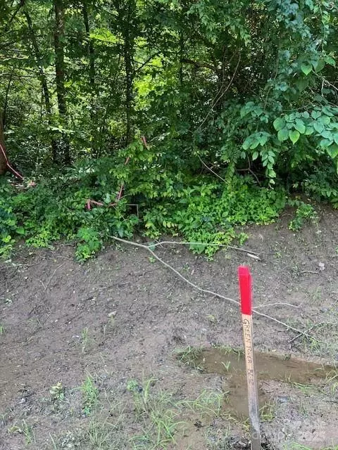 Saluda, NC 28773,Lots P12-22 & P12-23 Green River Cove RD #22 & 23