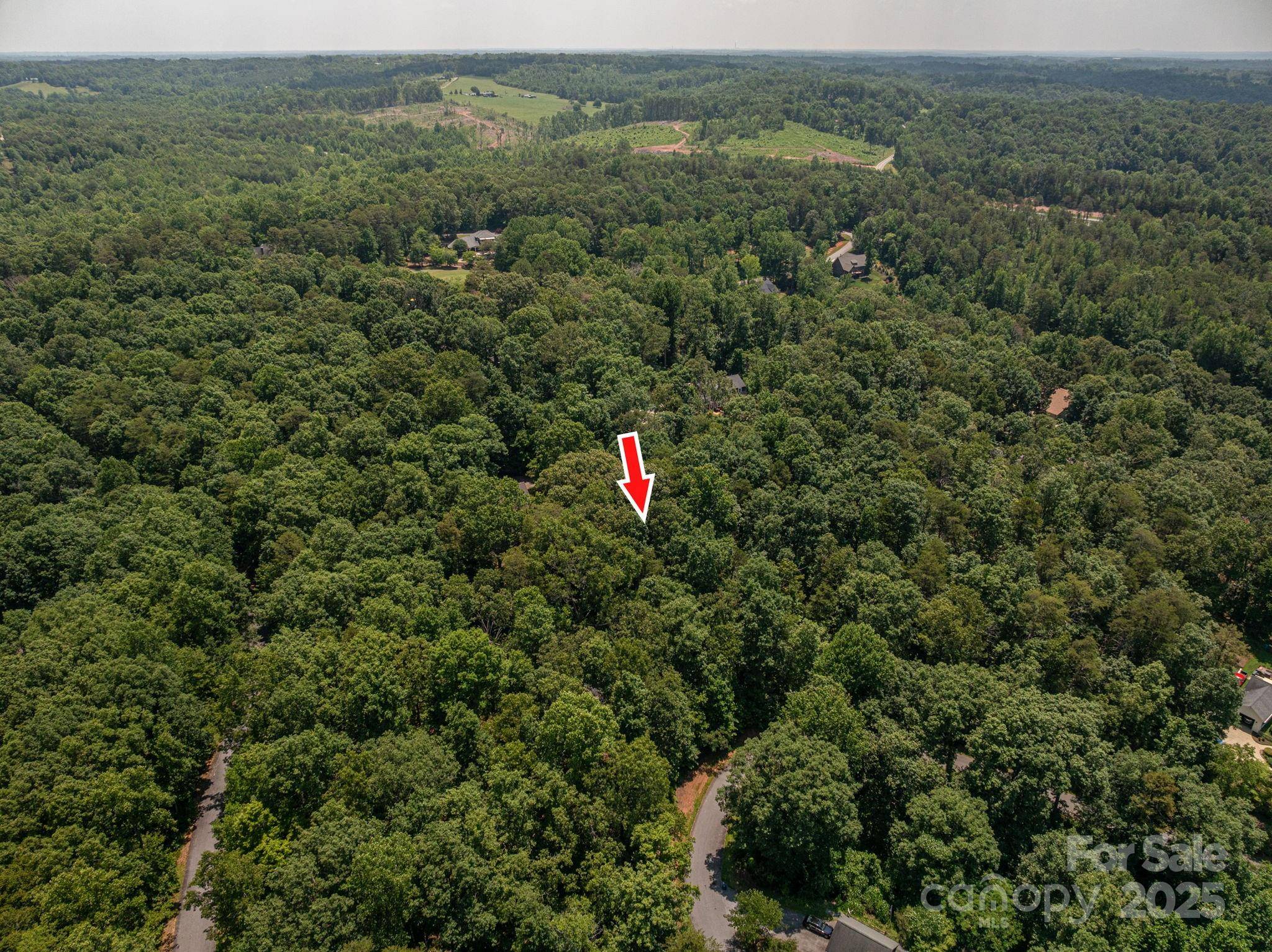 Rutherfordton, NC 28139,Lot #38 Moss DR