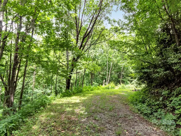 Waynesville, NC 28785,32 Sallywood TRL