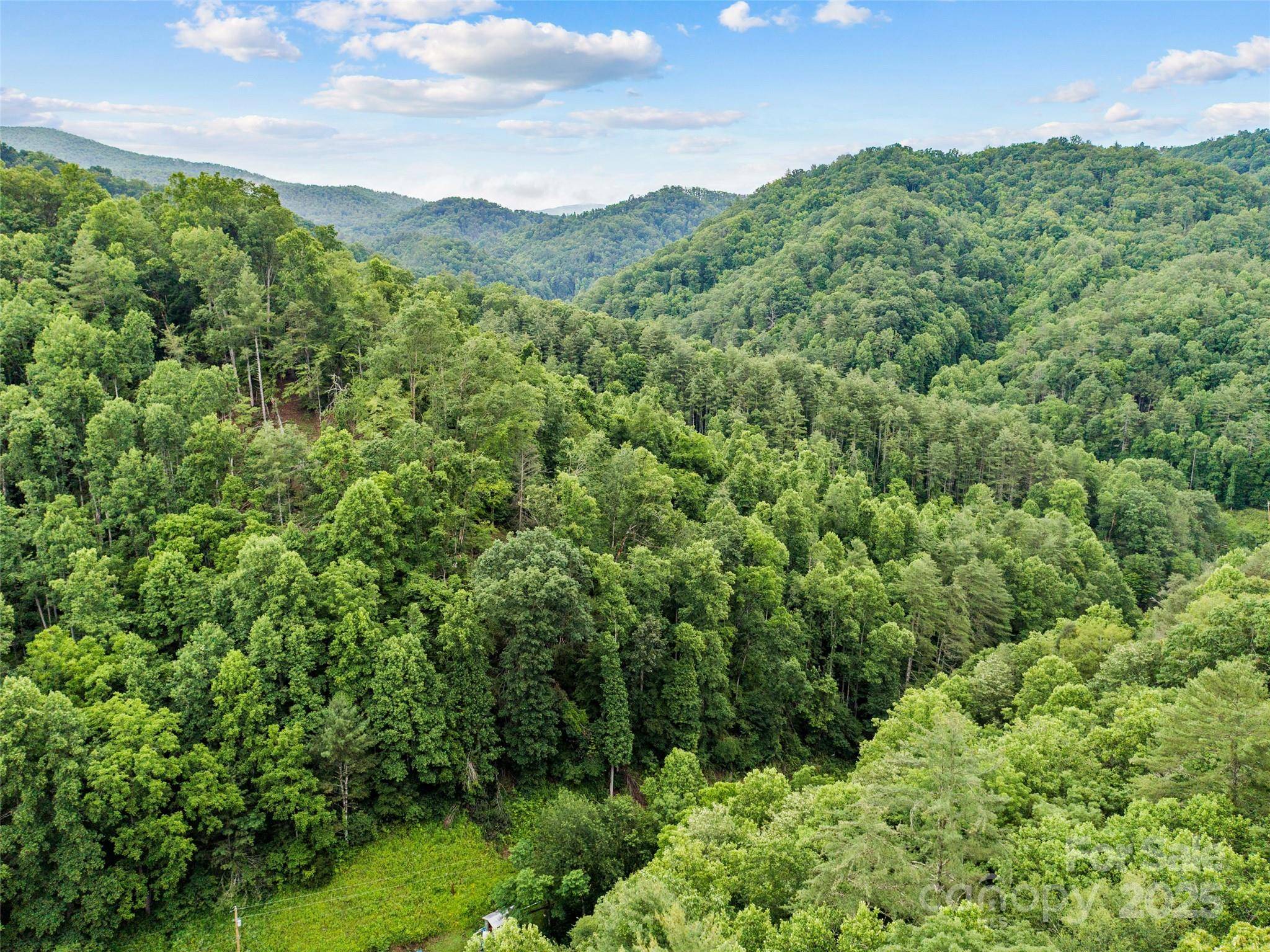 Green Mountain, NC 28740,0 Holloway RD