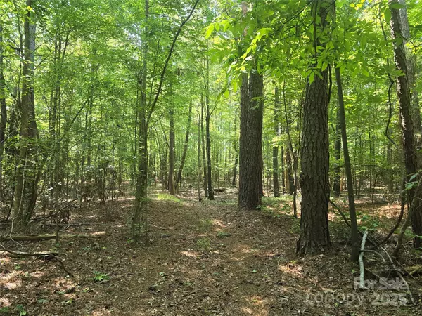 Heath Springs, SC 29058,00 Hoke RD