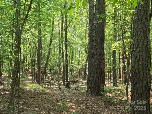 Heath Springs, SC 29058,00 Hoke RD
