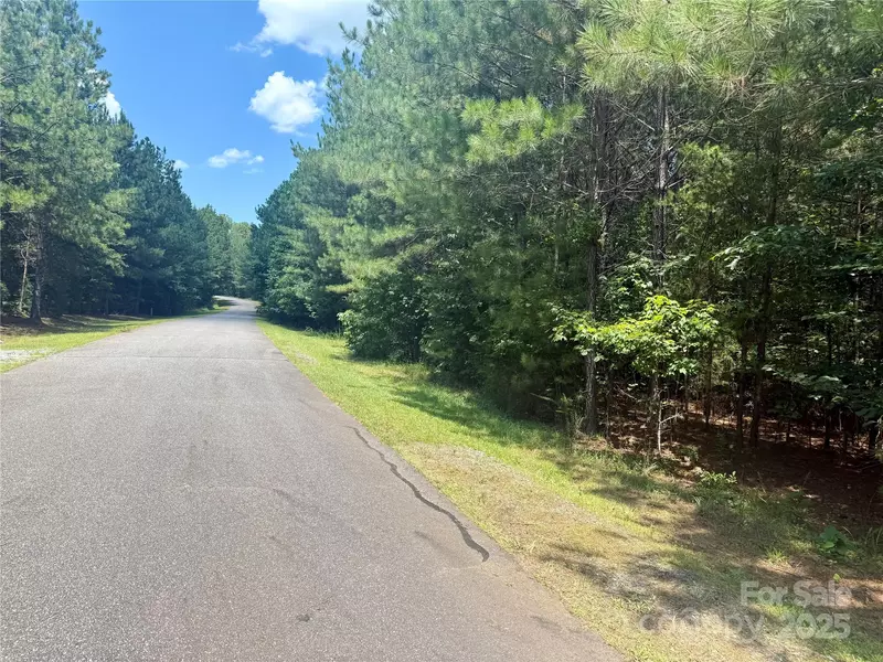 Lot 262 Cross Creek DR, Rutherfordton, NC 28139
