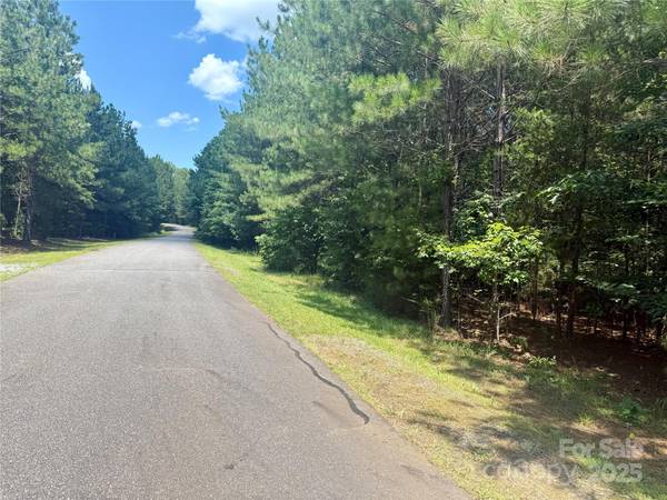 Lot 262 Cross Creek DR, Rutherfordton, NC 28139