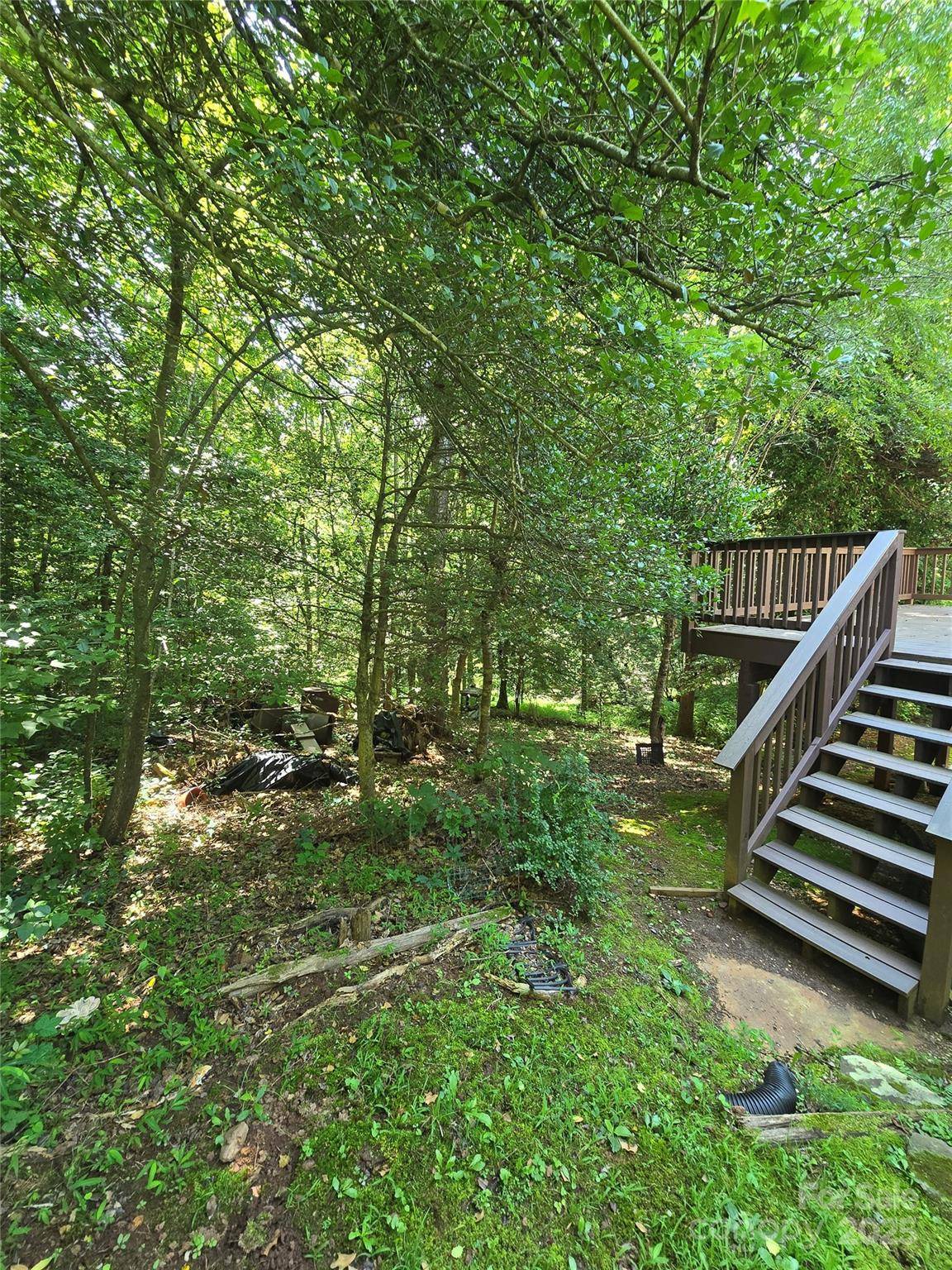 Asheville, NC 28806,5 Auburndale DR