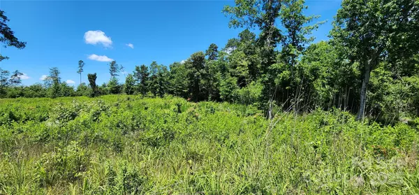Rutherfordton, NC 28139,Lot 1 Poors Ford RD #1