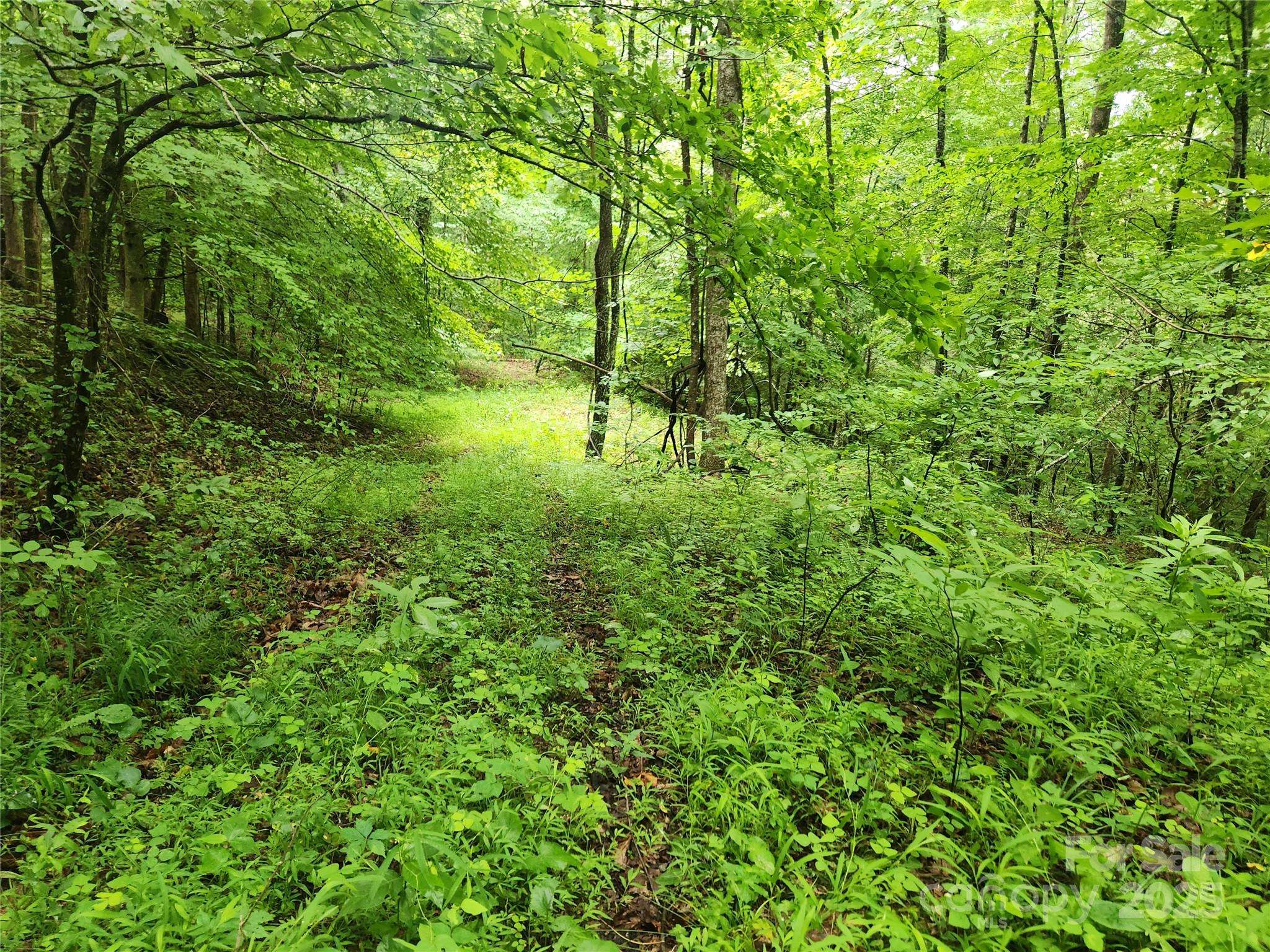 Marshall, NC 28753,9999 Henry Worley LN