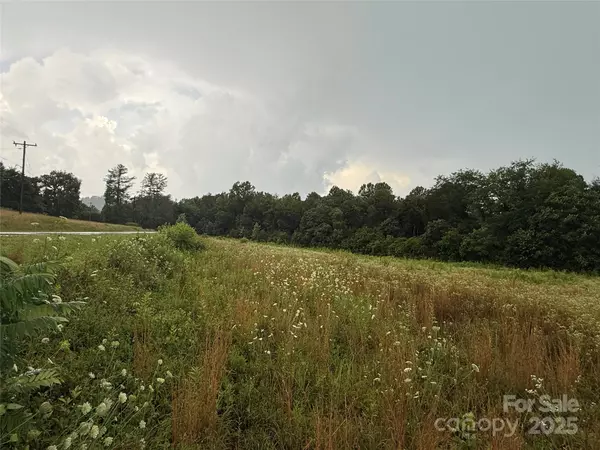 Marion, NC 28752,00 Mud Cut LOOP