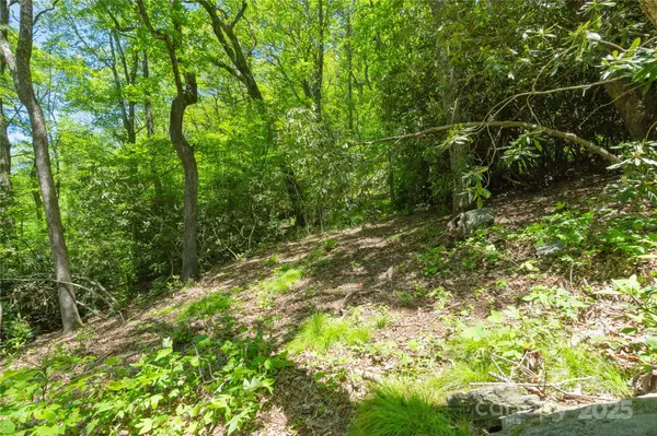 Highlands, NC 28741,TBD Upper Lake RD #69