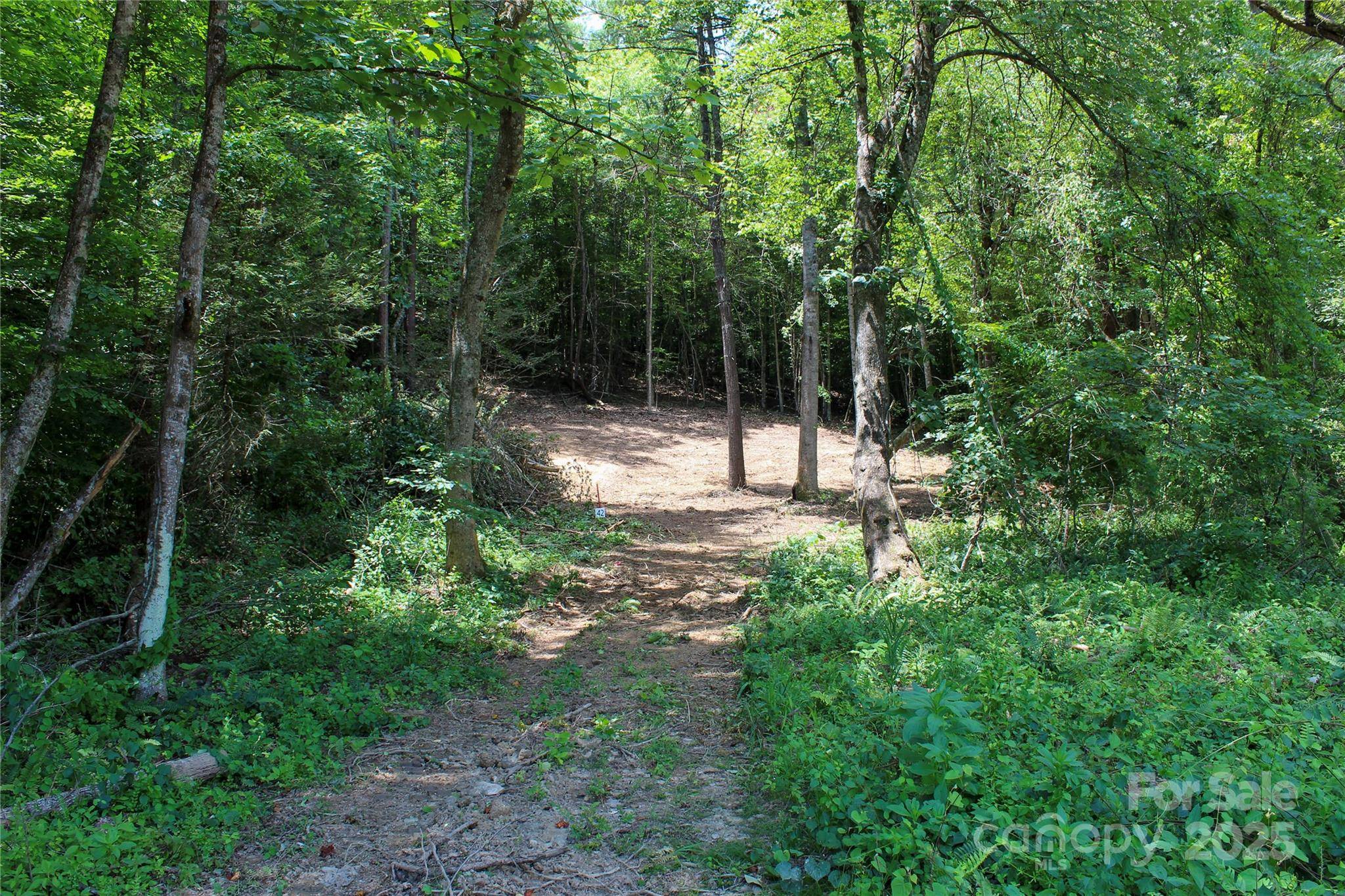 Mars Hill, NC 28754,9999 Gabriels Creek RD #42