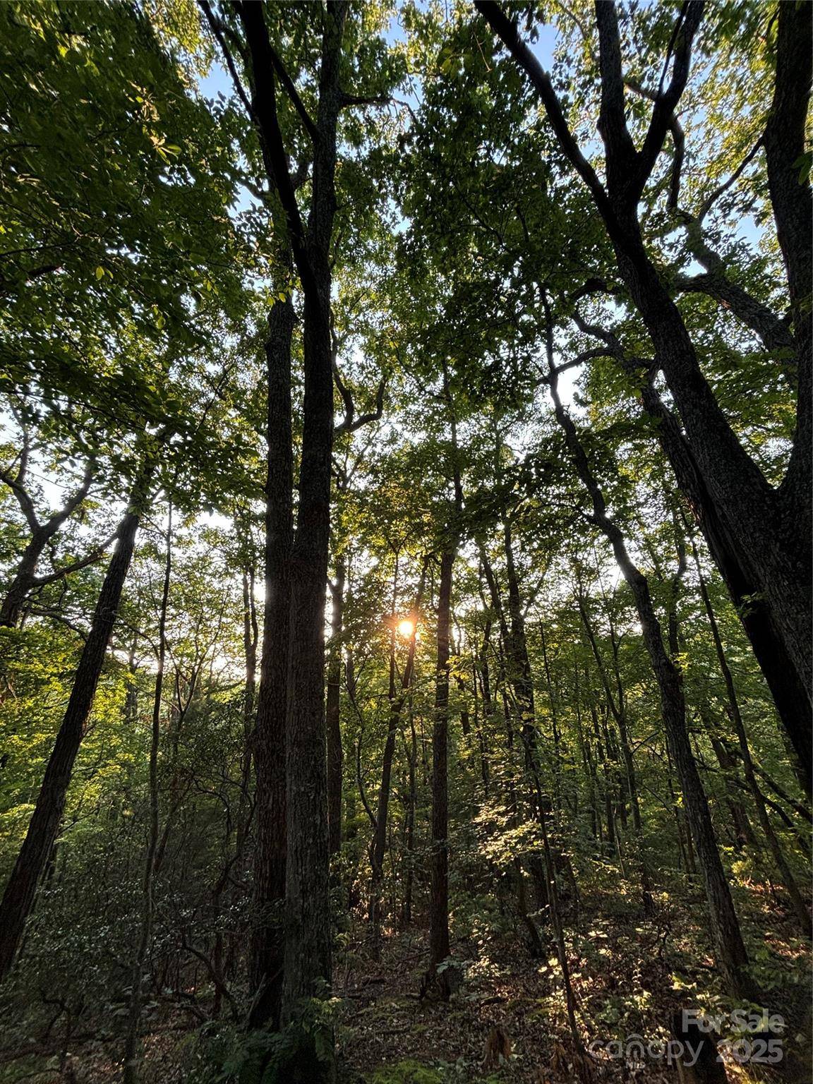 Hendersonville, NC 28792,9999 Oak Ridge RD