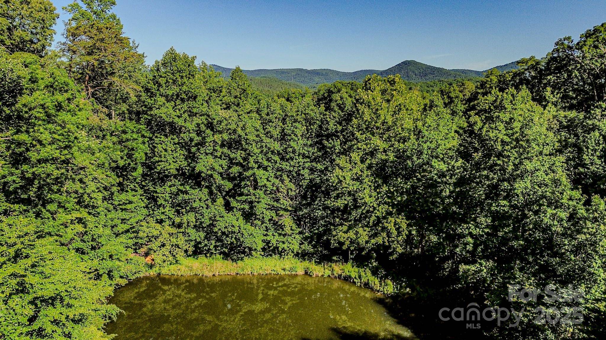 Rutherfordton, NC 28139,2416 Cane Creek RD