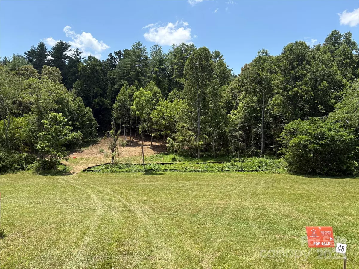 Mars Hill, NC 28754,9999 Settlers TRL #48