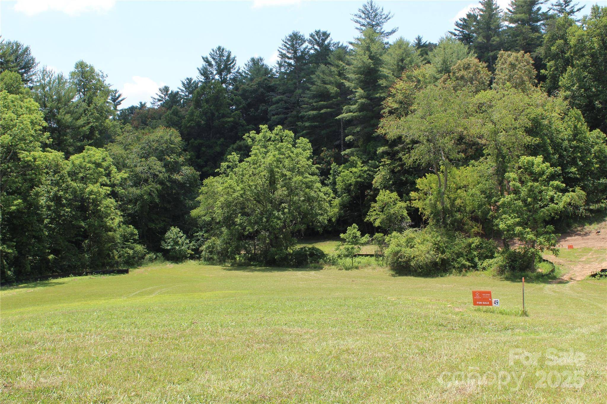 Mars Hill, NC 28754,9999 Settlers TRL #49