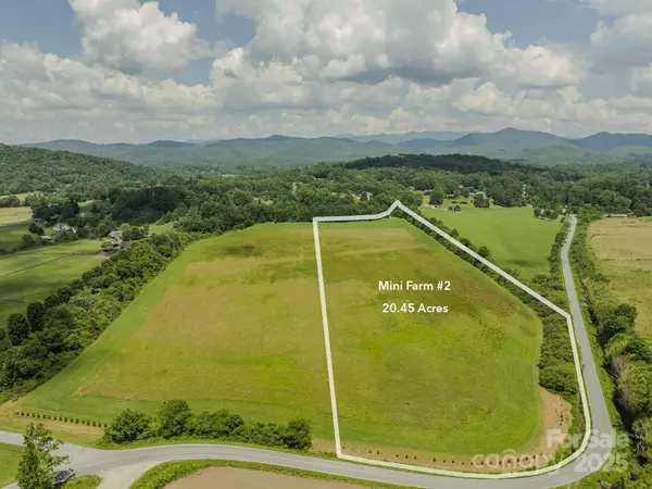 Brevard, NC 28712,Mini Farm 2 TBD Coventry DR