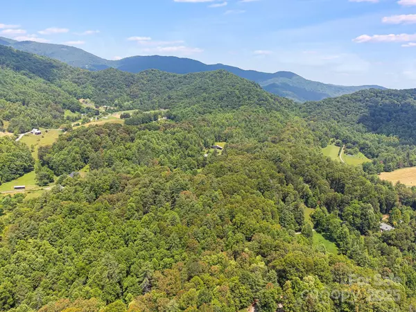 Leicester, NC 28748,99999 Rowan Hill RD