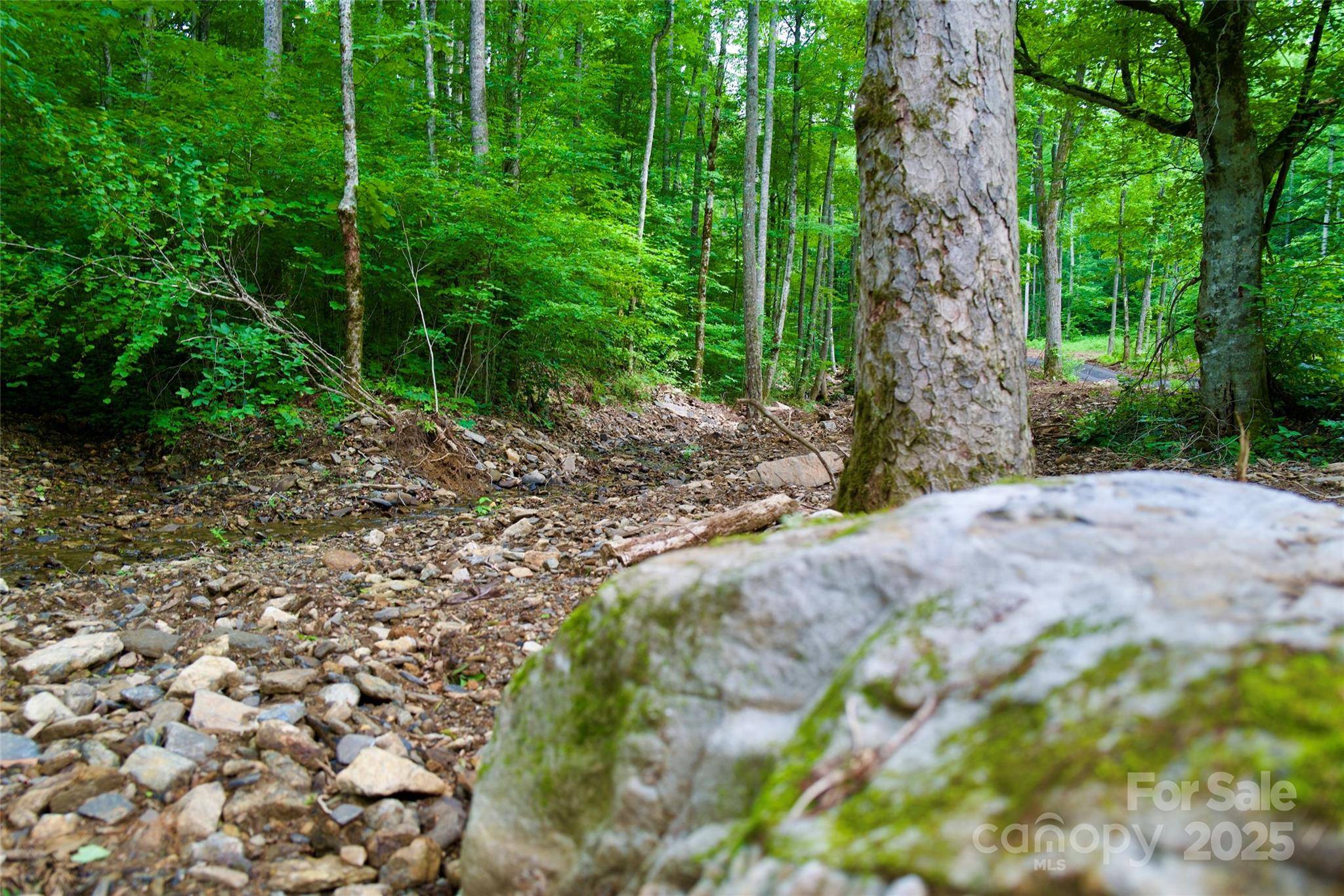 Spruce Pine, NC 28777,000 Shadowwood DR