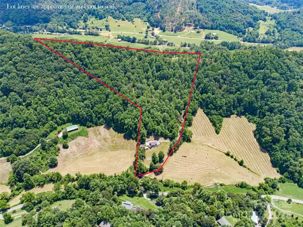 Barnardsville, NC 28709,189 Poverty Branch RD