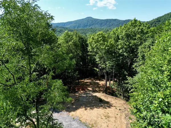 Black Mountain, NC 28711,1915 Catawba Falls Pkwy #232