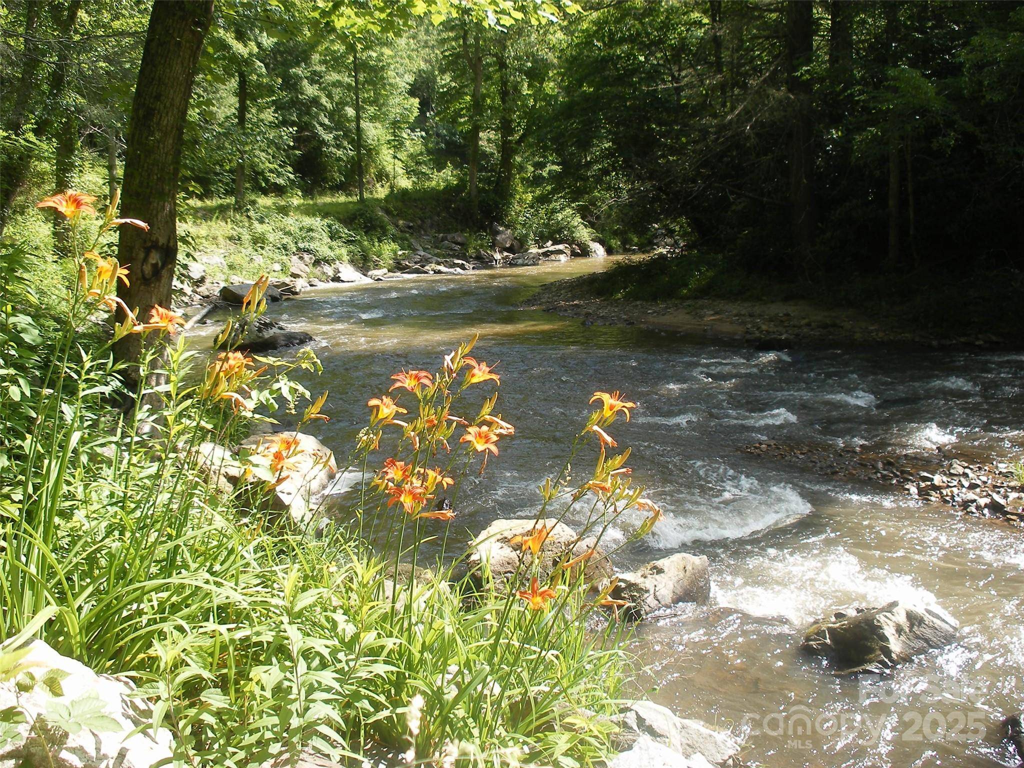 Marshall, NC 28753,TBD Bear River Lodge TRL #132