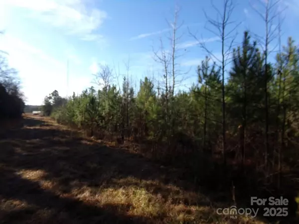 Chester, SC 29706,104 Ac Cedarhurst RD