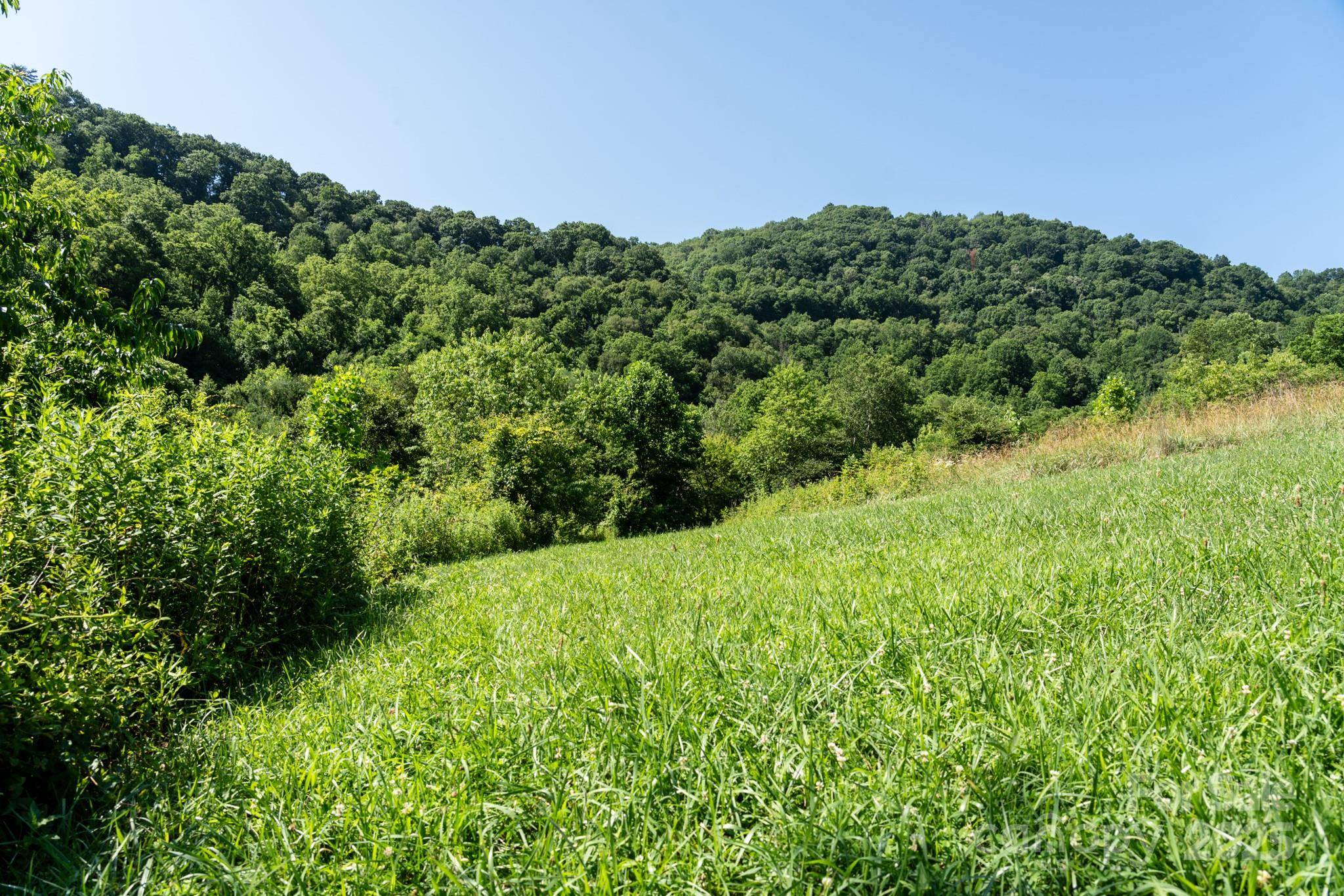 Waynesville, NC 28785,00 Shetley RD