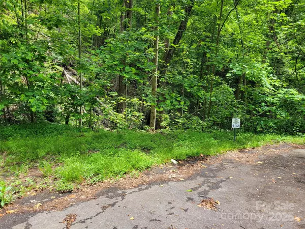 Marshall, NC 28753,TBD Bear River Lodge TRL #123 &124
