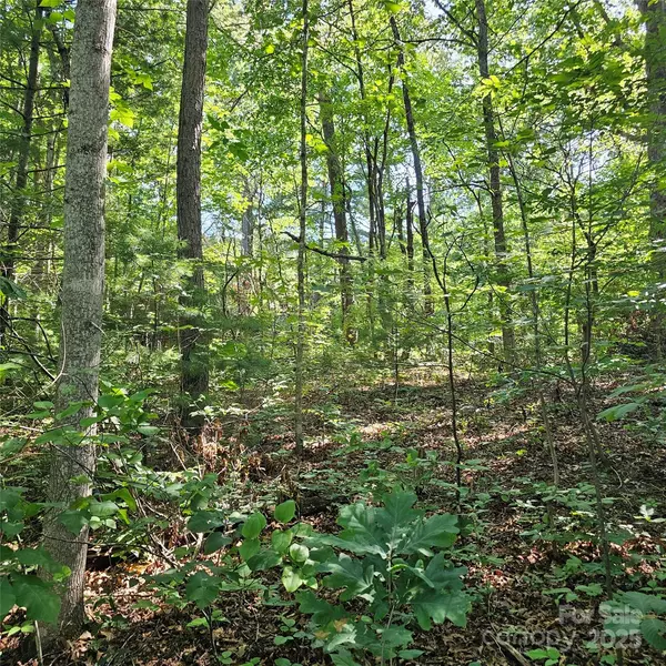 Asheville, NC 28805,99999 Campground RD