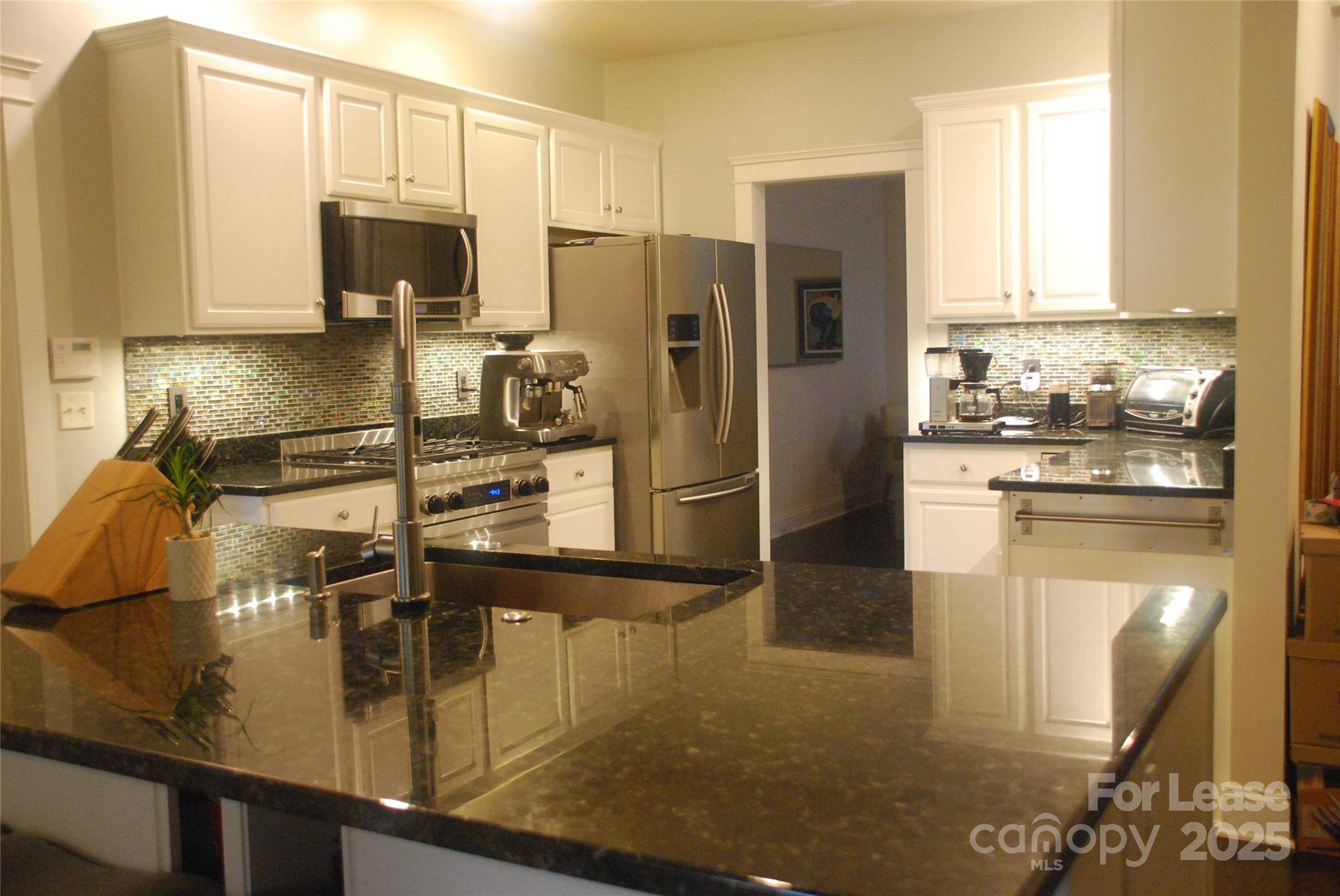 Asheville, NC 28803,14 Dianthus DR