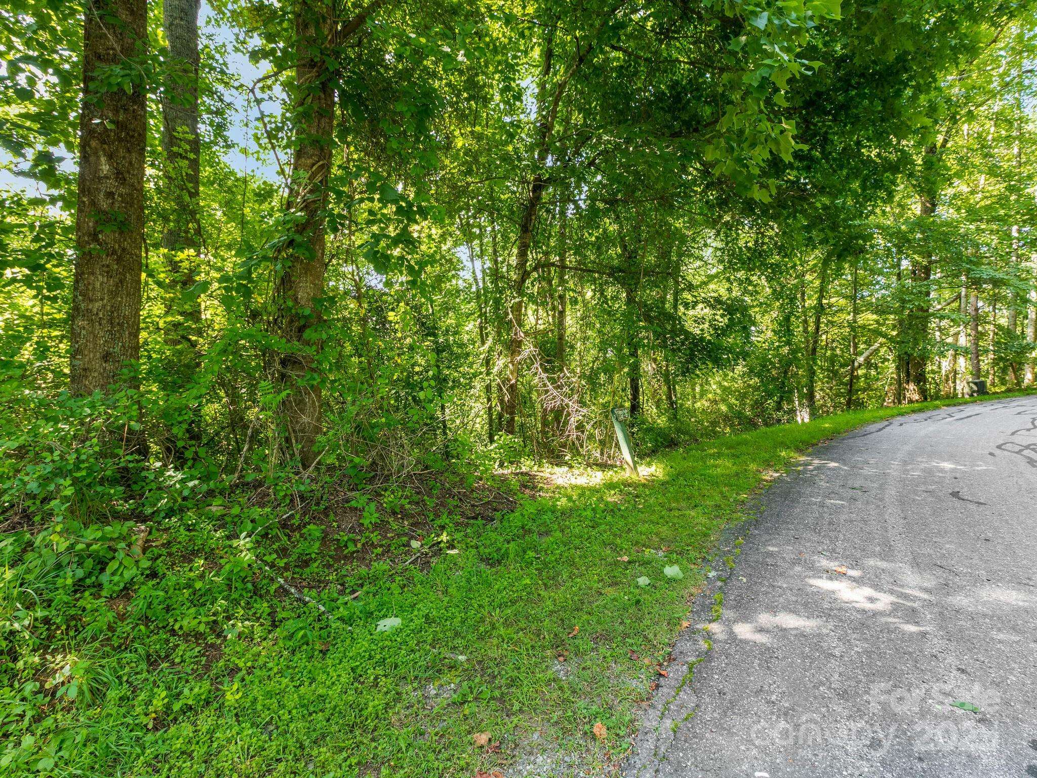 Hendersonville, NC 28792,9999 Stone Valley WAY #21 Ph 1