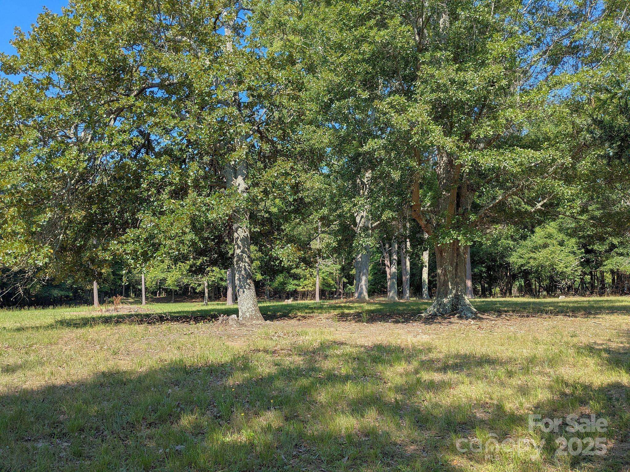Catawba, SC 29704,0000 Tract #1A Roddey RD