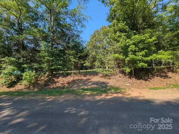 Catawba, SC 29704,0000 Tract #1A Roddey RD