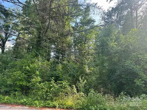 Lot 133 Brandon RD, Hendersonville, NC 28739
