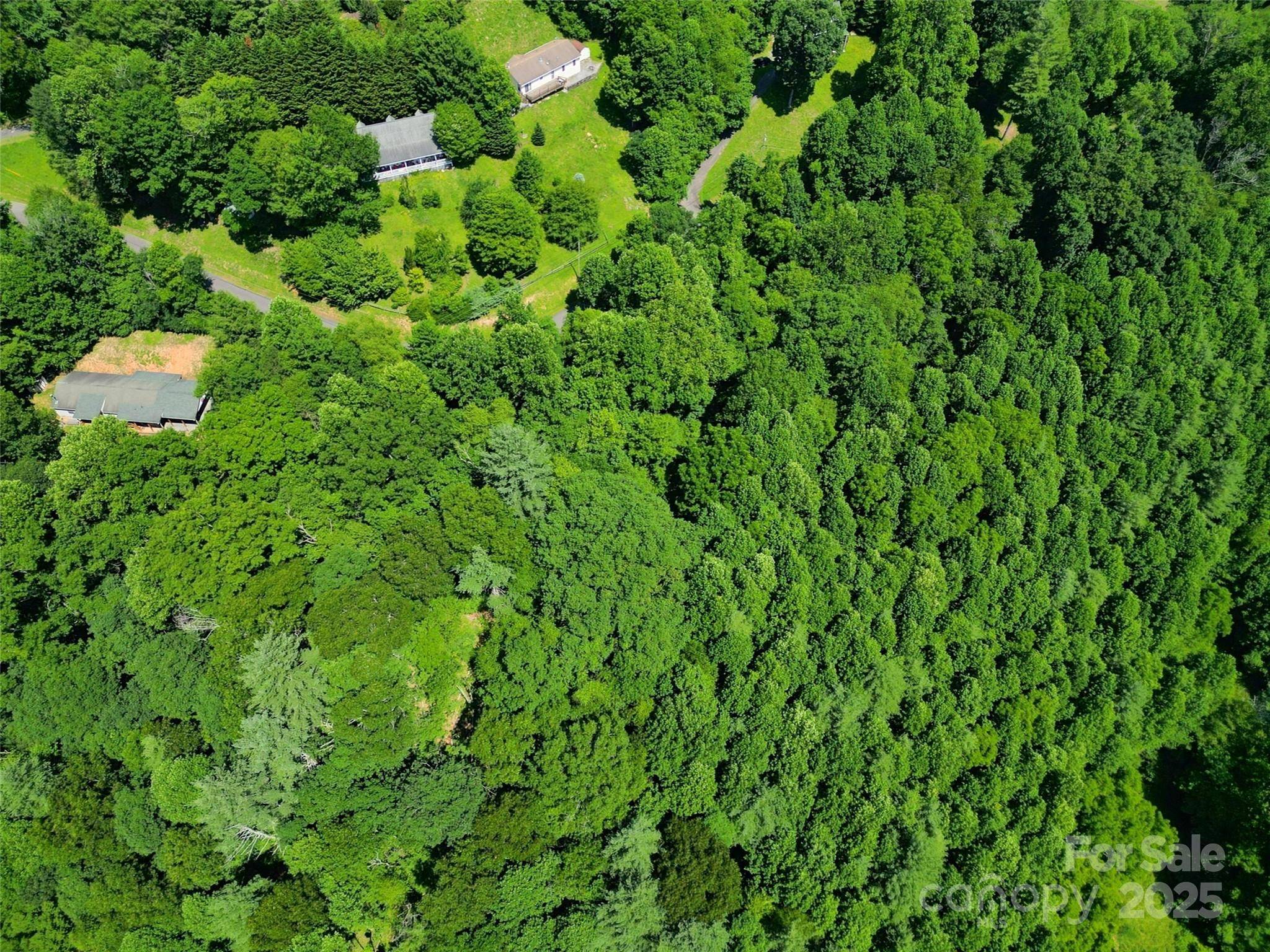 Waynesville, NC 28785,00 Point of View DR