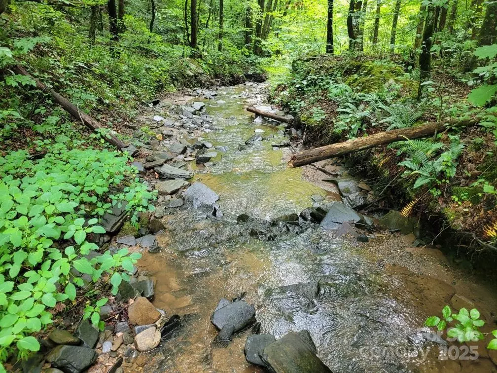 Marion, NC 28752,99999 Old Yellow Mountain RD