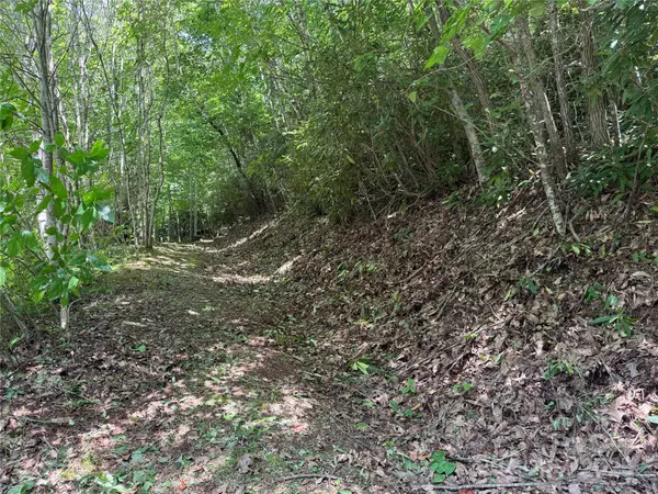 Fairview, NC 28730,25 Fairview Pointe DR