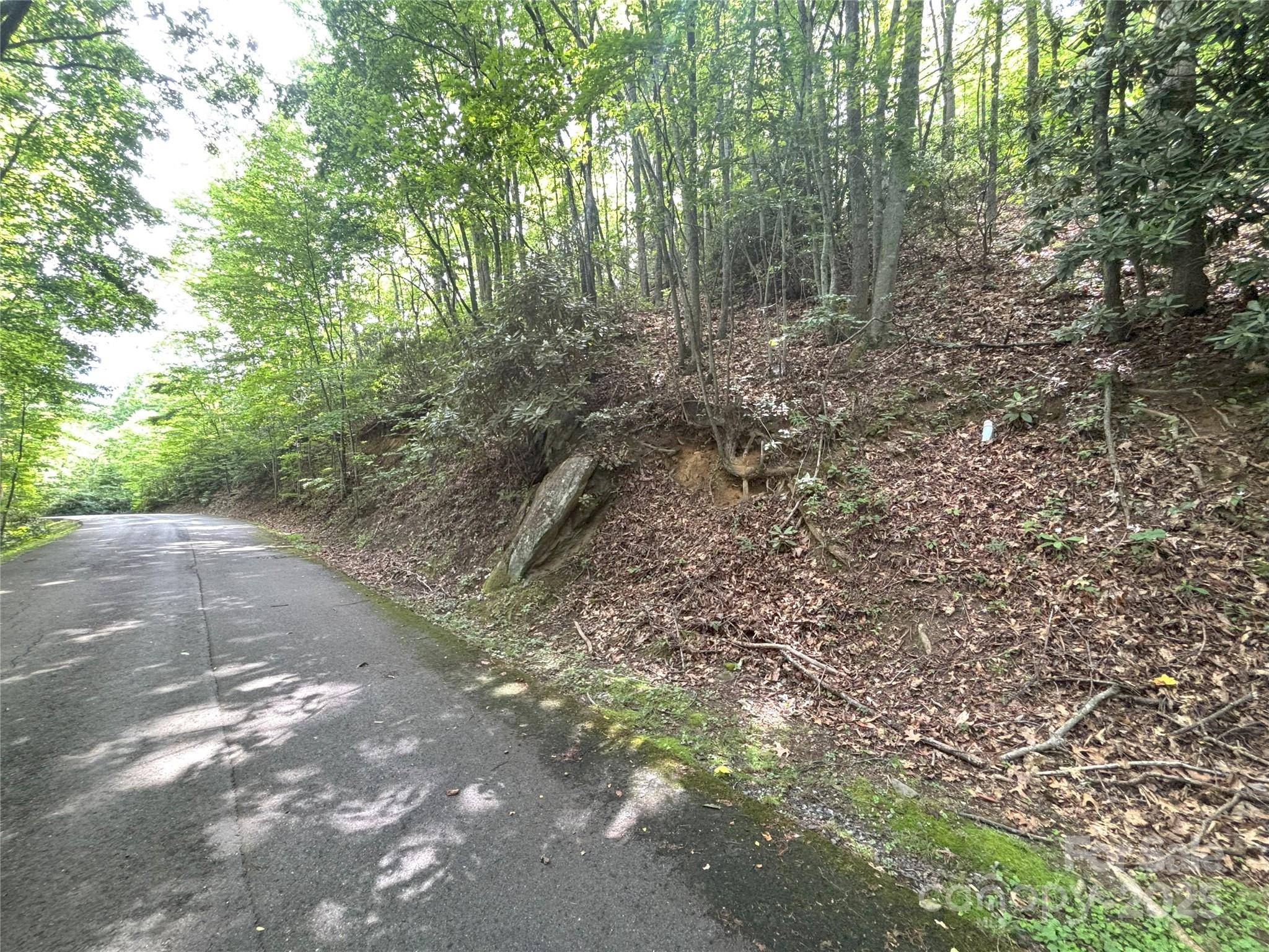 Maggie Valley, NC 28751,000 Valley View DR #14