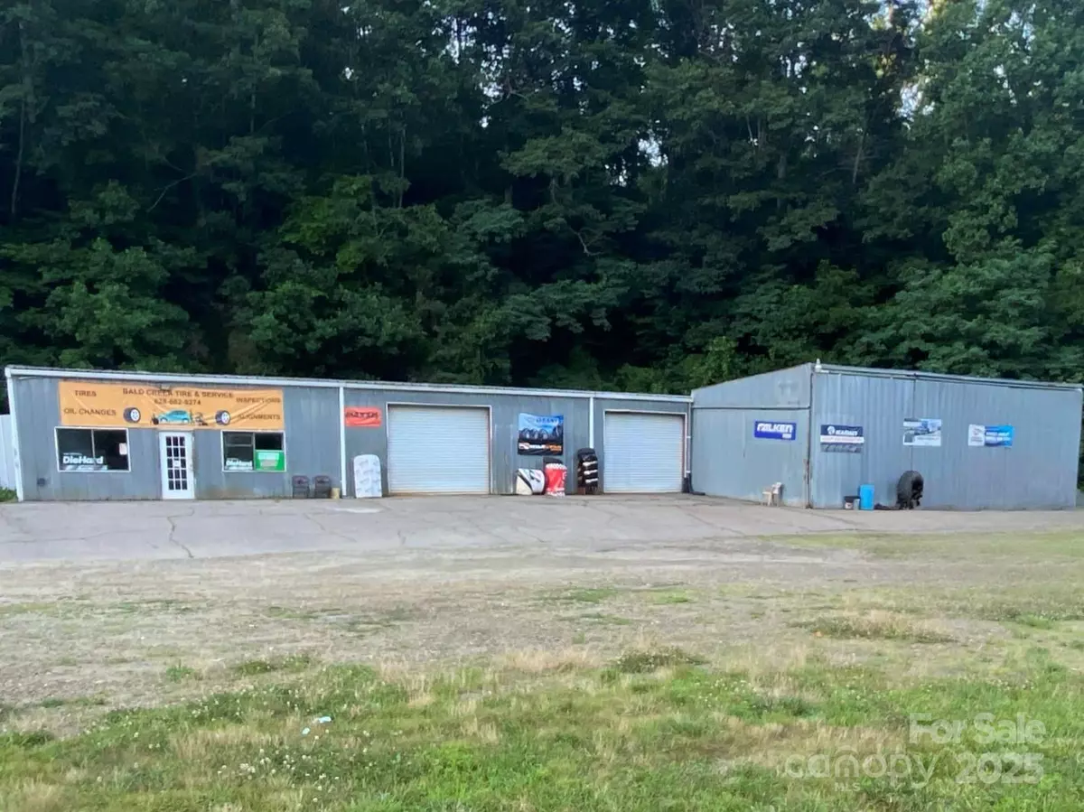 Burnsville, NC 28714,23 Lana LN