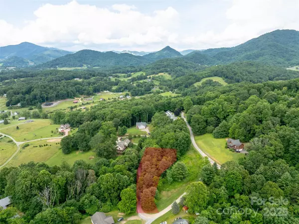 40 Sedgefield PL, Clyde, NC 28721