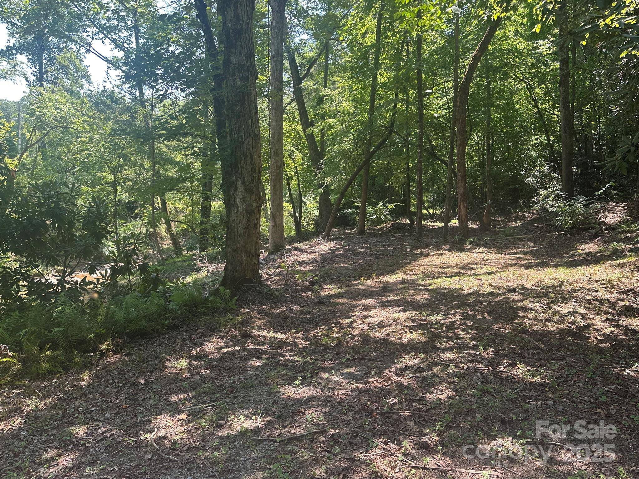 Nebo, NC 28761,00 Harmony Grove RD #10