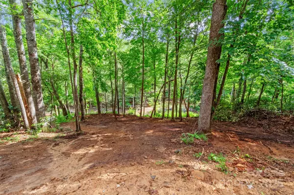 Burnsville, NC 28714,179 Heartland LN