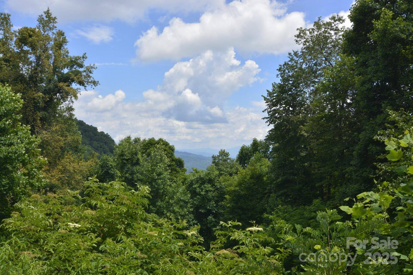 999 Red Wolf RUN #48, Mars Hill, NC 28754