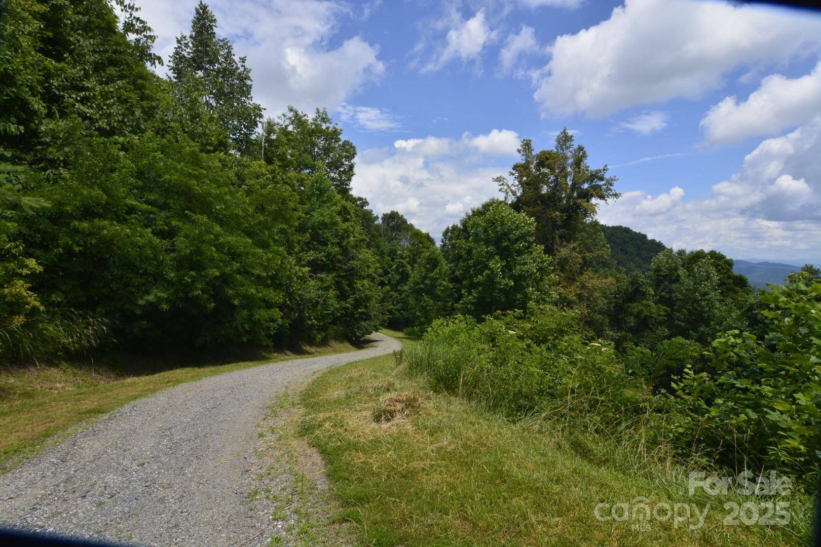 Mars Hill, NC 28754,999 Red Wolf RUN #48