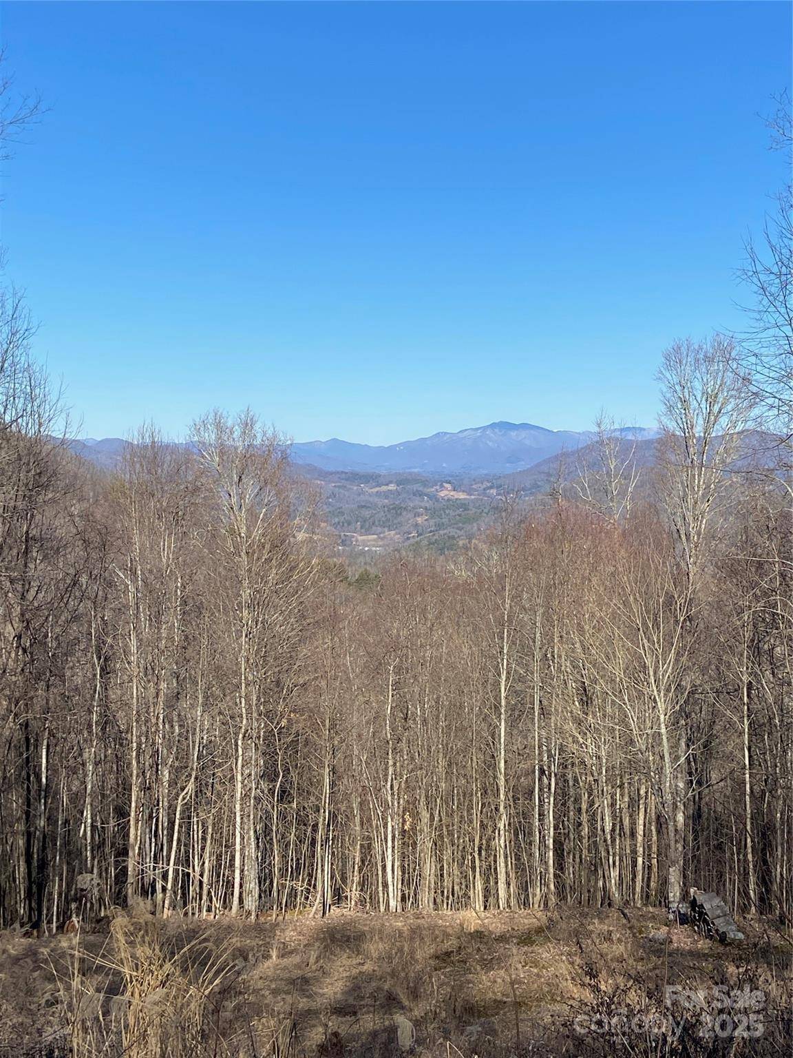 Mars Hill, NC 28754,999 Red Wolf RUN #48