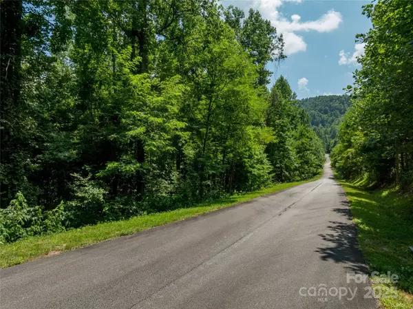 Mill Spring, NC 28756,Lot 256 Haddington DR W