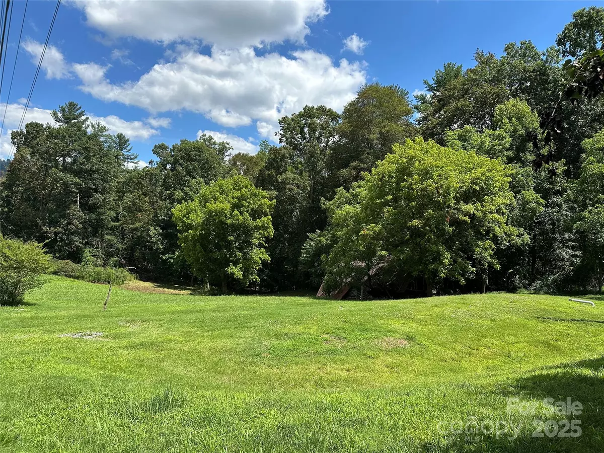 Weaverville, NC 28787,9999 Clarks Chapel RD N